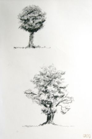 dessin d'arbres